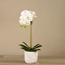 Artificial Orchid