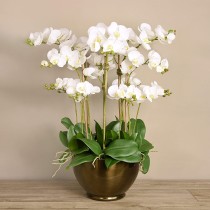 Artificial Orchid