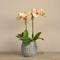 Artificial Orchid 